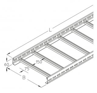 LGG-BS 60_01